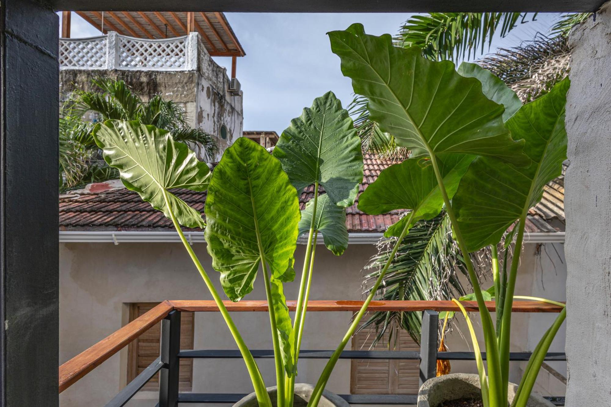 Casa de férias Casa Fernandez By Soho *